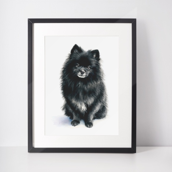 Watercolor Black Pomeranian Dog Portrait Art Print – Unframed Fine Art Poster - Picture 3 of 5